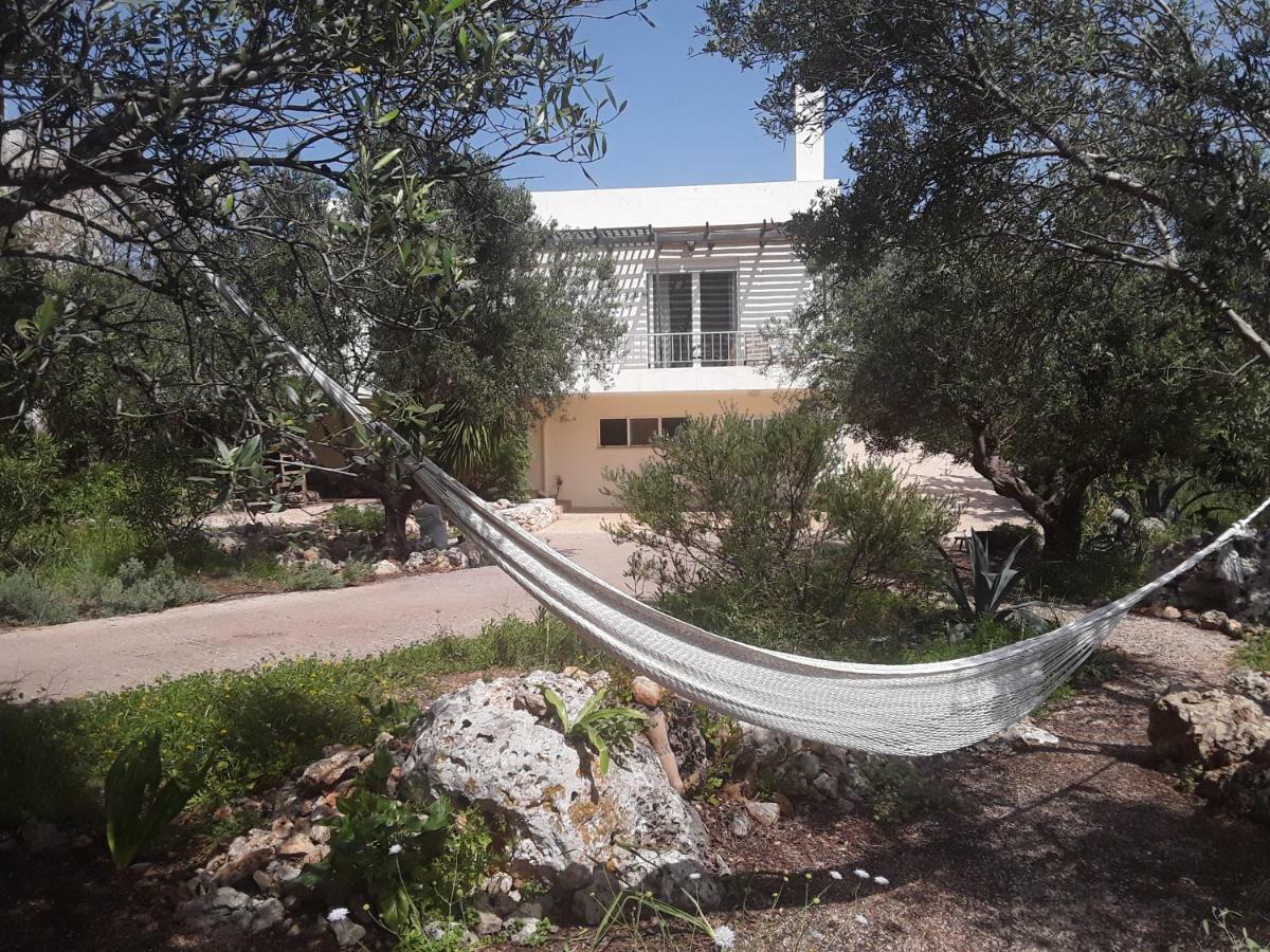 מלון פלאקה Alpha House מראה חיצוני תמונה