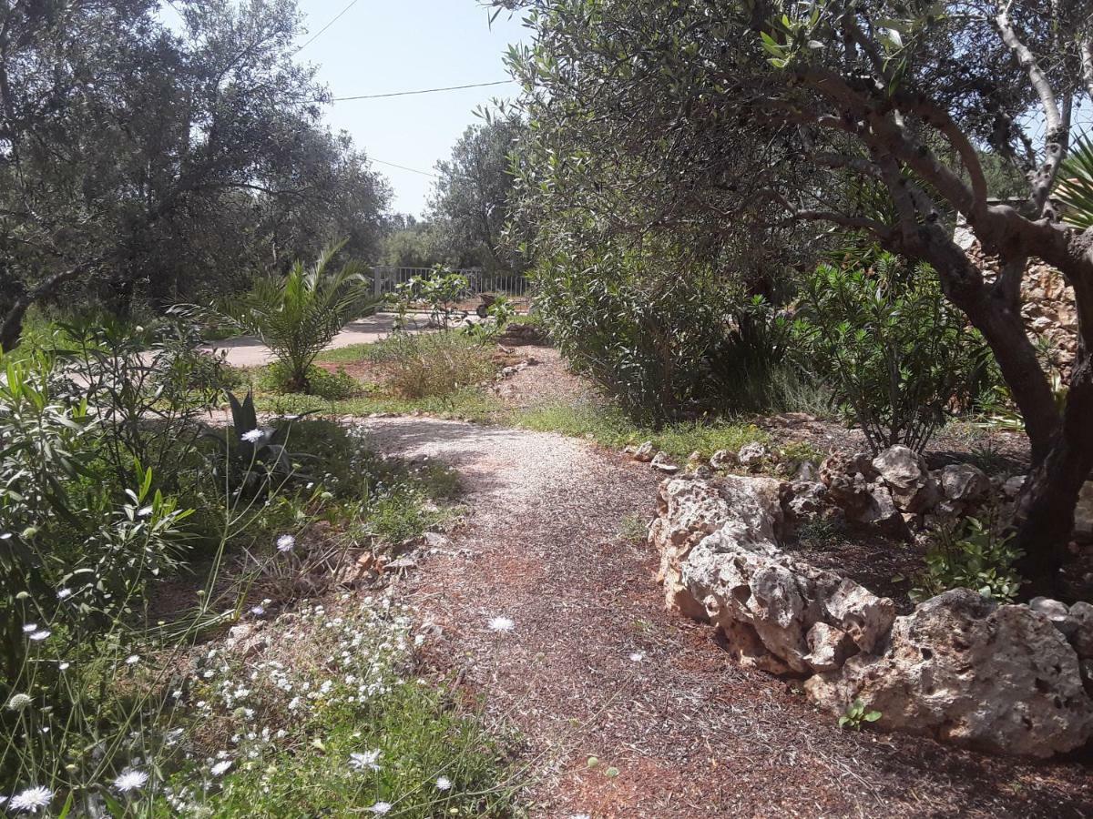 מלון פלאקה Alpha House מראה חיצוני תמונה
